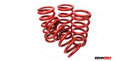 RENNtech Coilover Kit C63