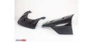 RENNtech Carbon Fiber 3 pc. Front Splitter