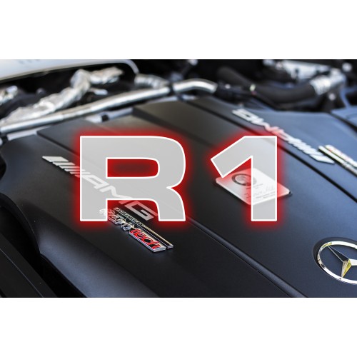 RENNtech R1 Performance PKG AMG GT/S