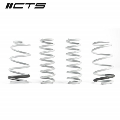 CTS Turbo MK8 GTI Lowering Springs