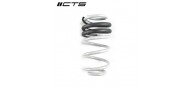 CTS Turbo B8/B8.5 A4/S4 Lowering Spring Set