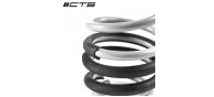 CTS Turbo B8/B8.5 A4/S4 Lowering Spring Set