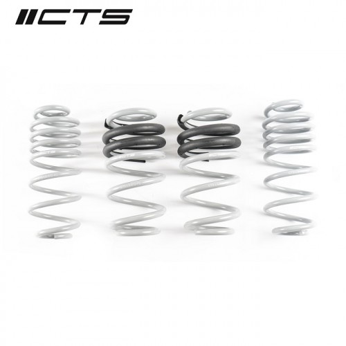 CTS Turbo B8/B8.5 A4/S4 Lowering Spring Set