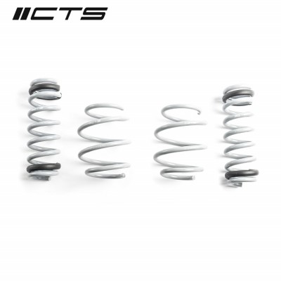 CTS Turbo G80 M3/M3 Competition Lowering Springs